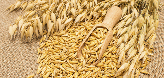 Чому овес корисний: основні переваги та вплив на здоров’я?