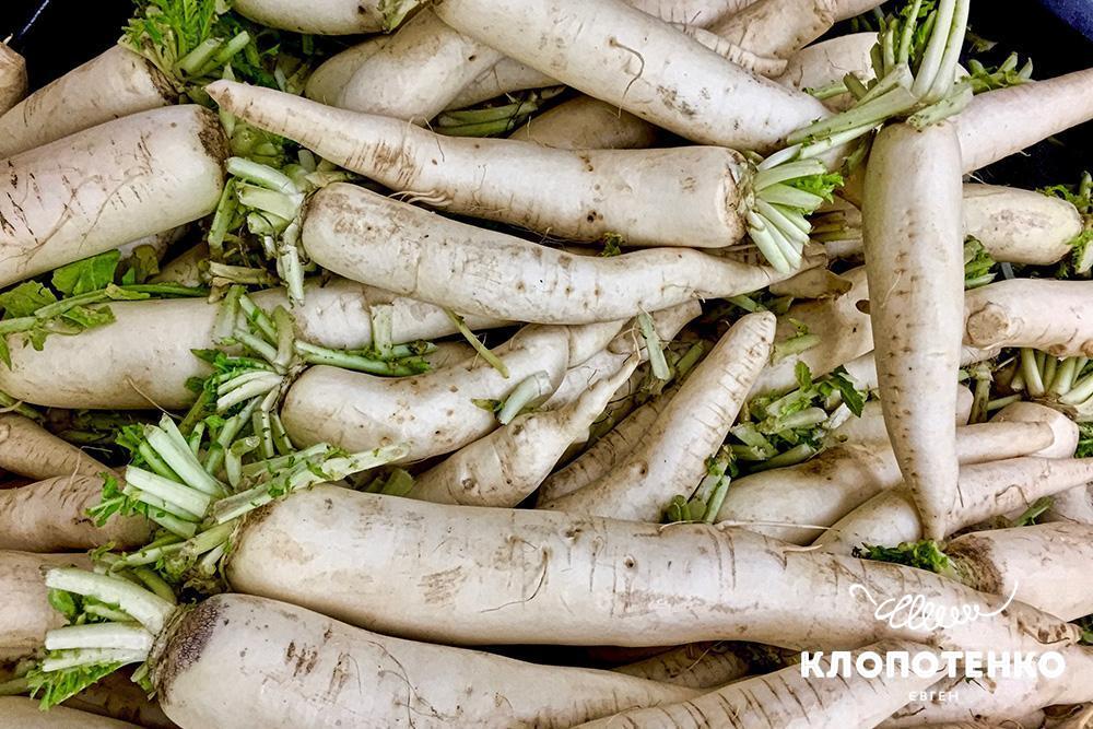 Пастернак: користь і шкода – як впливає на здоров’я організму?