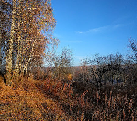 Парк “Галявина на пагорбі” у Харкові: що нового?