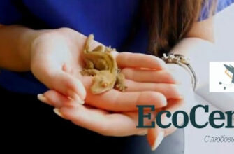 Ветеринарна клініка ЕкоЦентр для тварин у Харкові Ветеринарна клініка ЕкоЦентр для тварин у Харкові