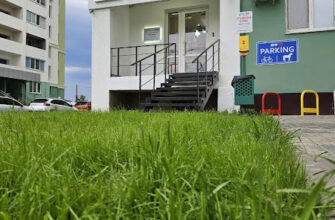 Ветеринарна клініка Харків – Доктор Гаф: турбота про ваших улюбленців