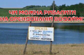 Чи можна ловити рибу на орендованому ставку: правила та поради
